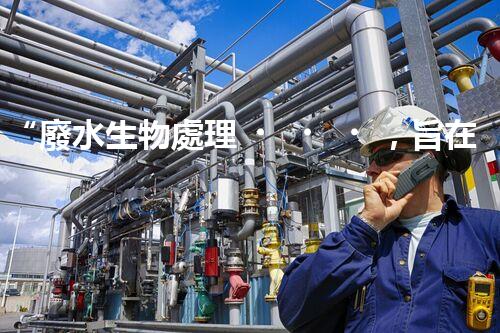 “廢水生物處理，旨在凈化水源，守護碧水藍天”